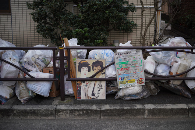 DSC01206.jpeg