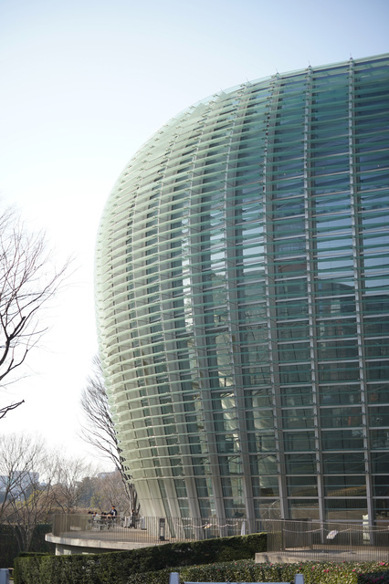 DSC01451.jpeg