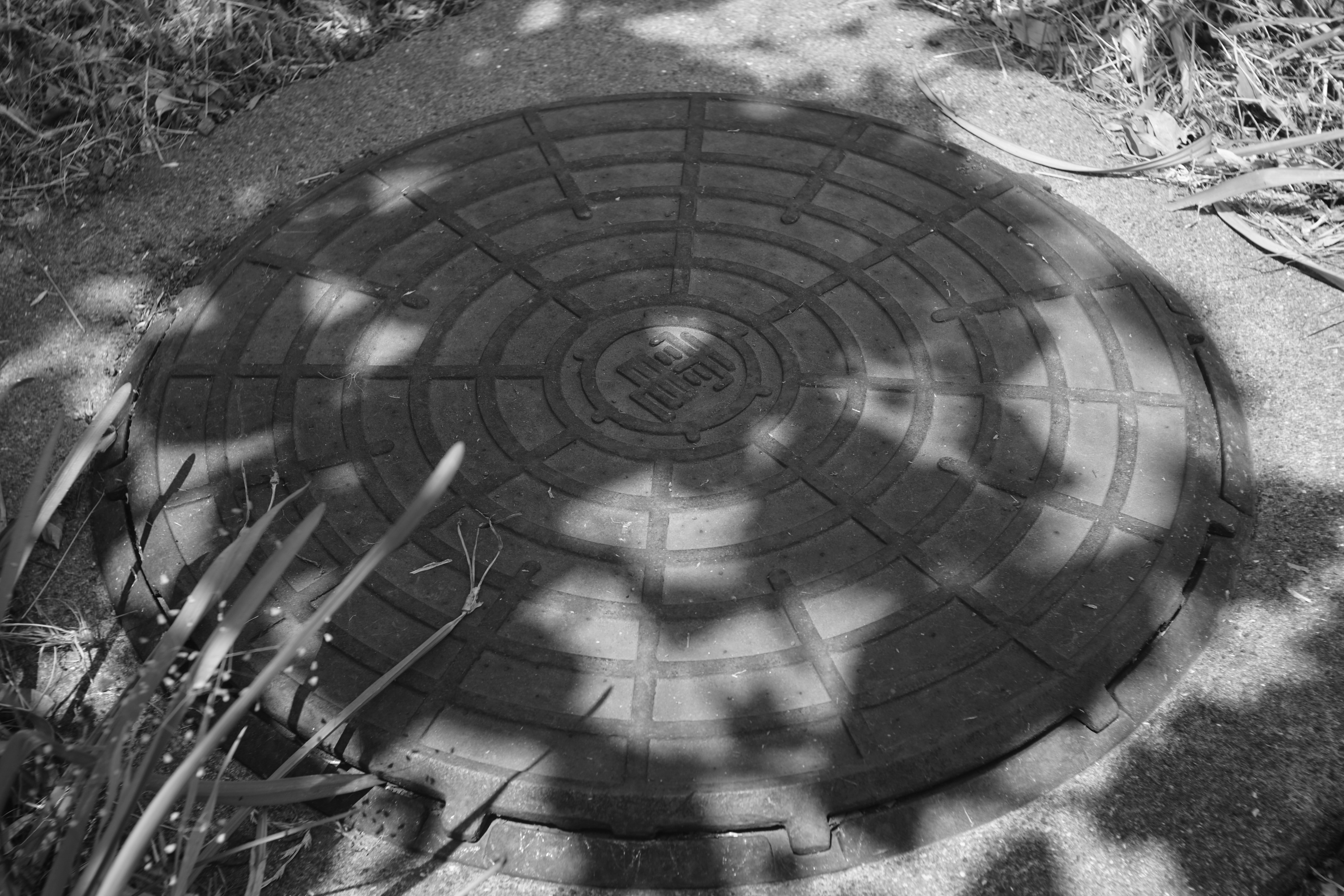 j*u様 128 Som Berthiot Flor 50mm f/3.5改造レ Som Berthiot Stellor 50mm F3.5 LTM改 開封の儀 - 晴れ時々ジャズ、雨