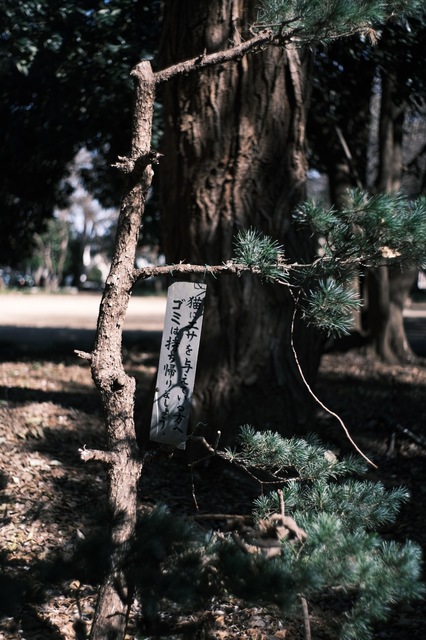 DSCF0843.jpg