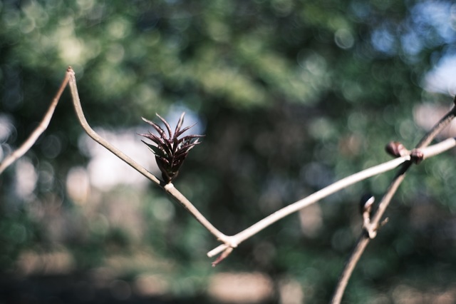 DSCF0863.jpg