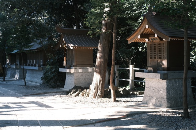 DSCF0872.jpg