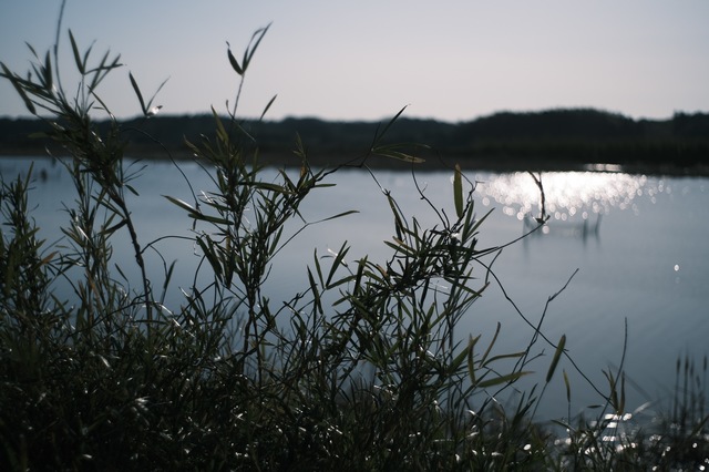 DSCF0896.jpg