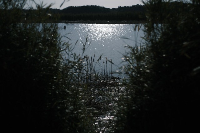 DSCF0902.jpg
