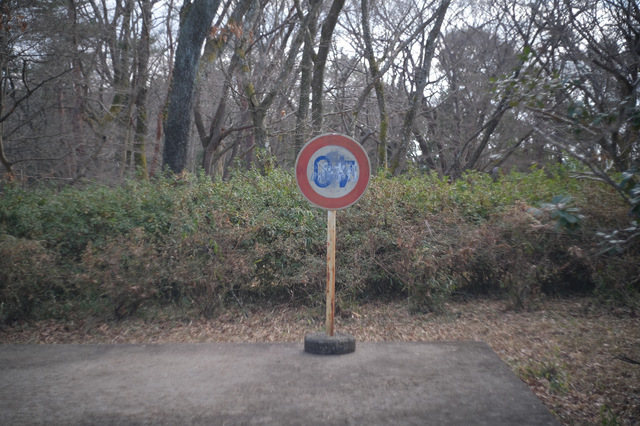 DSCF3389.jpeg
