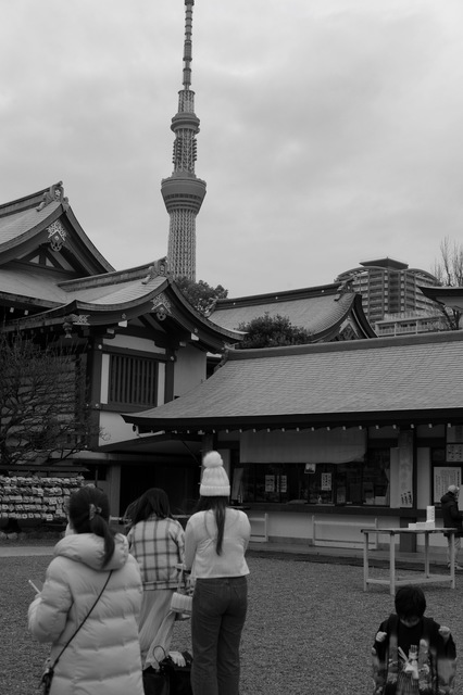 L1008995.jpg