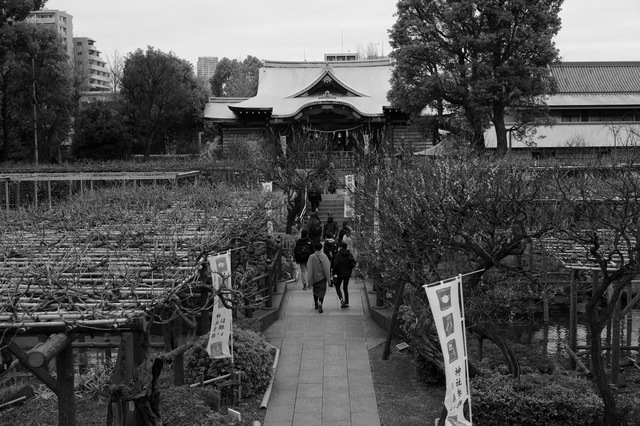 L1009003.jpg