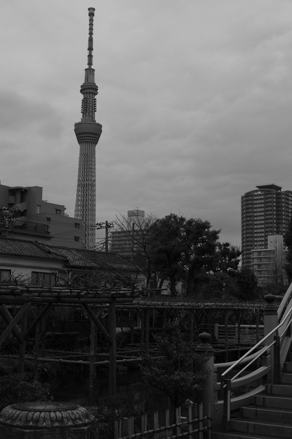 L1009012.jpg