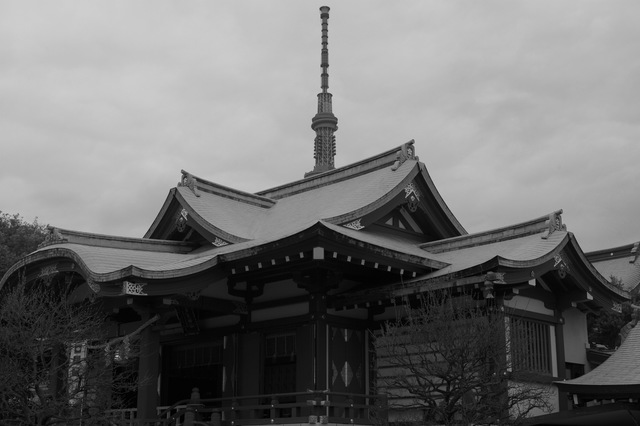L1009014.jpg