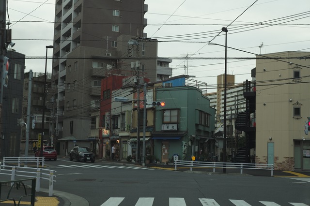 L1009016.jpg